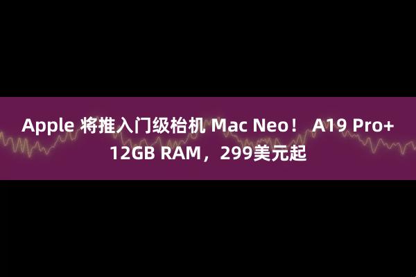 Apple 将推入门级枱机 Mac Neo！ A19 Pro+12GB RAM，299美元起