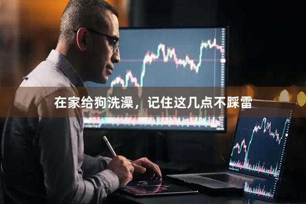 在家给狗洗澡，记住这几点不踩雷